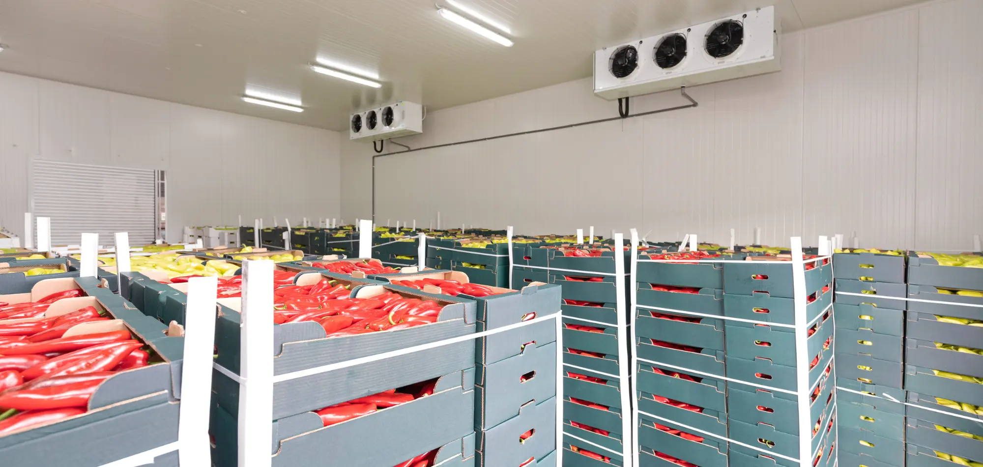 Cold storage construction site with insulated metal panel envelope in progress