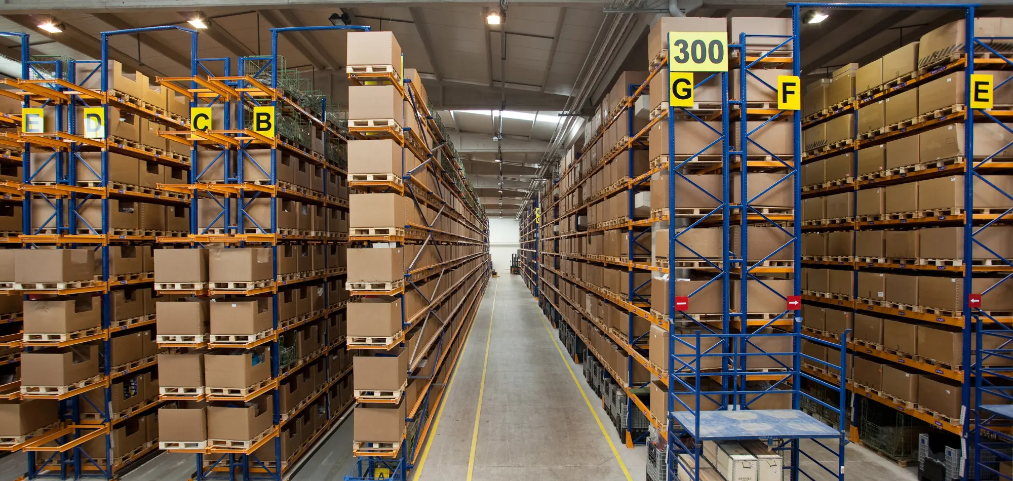 Multi-Tenant 3PL Cold Storage Facility